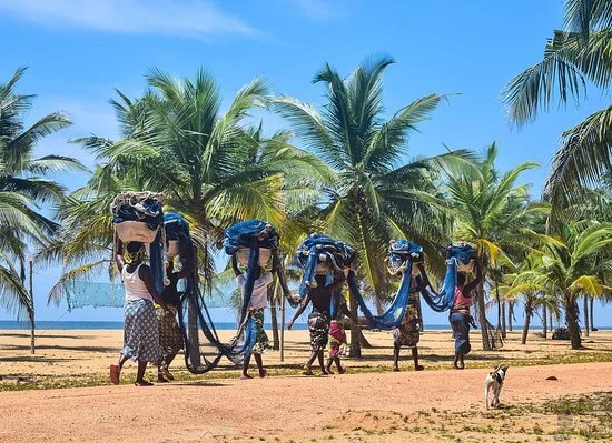 Les femmes transportant du filet