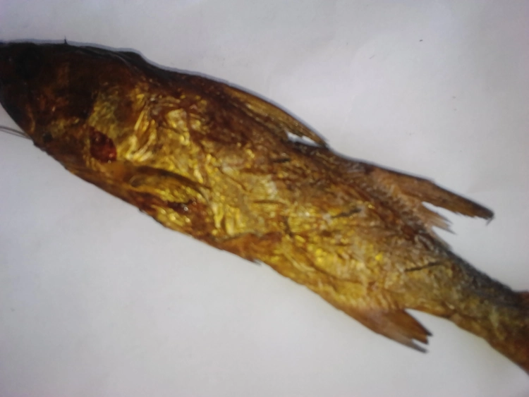 Poisson fumé